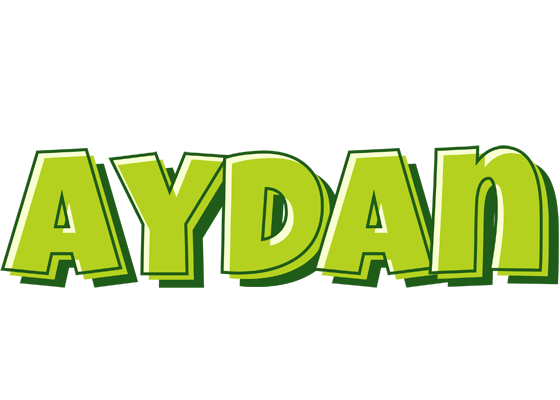 Aydan summer logo