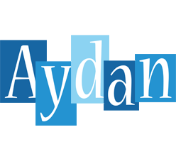 Aydan winter logo