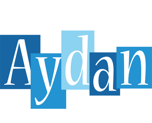 Aydan winter logo