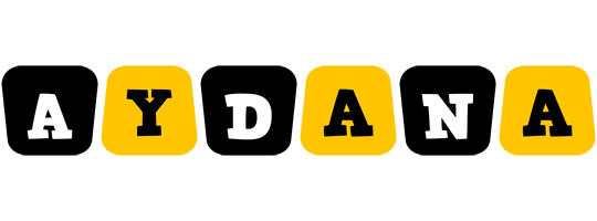 Aydana boots logo