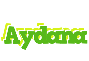 Aydana picnic logo