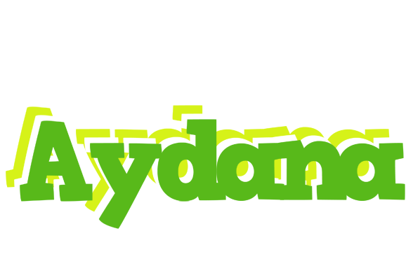 Aydana picnic logo
