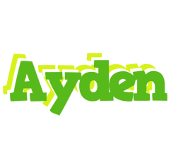 Ayden picnic logo