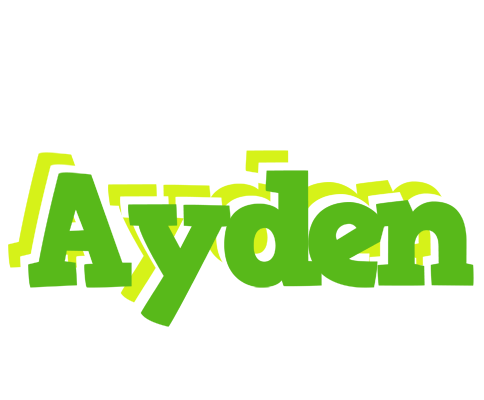 Ayden picnic logo