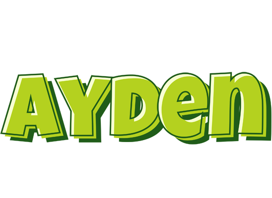 Ayden summer logo
