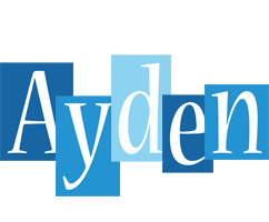 Ayden winter logo