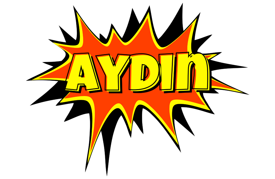 Aydin bazinga logo