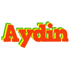 Aydin bbq logo