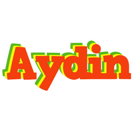 Aydin bbq logo