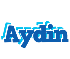 Aydin business logo