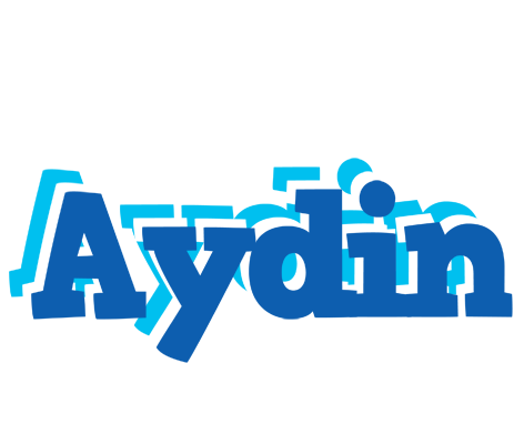 Aydin business logo