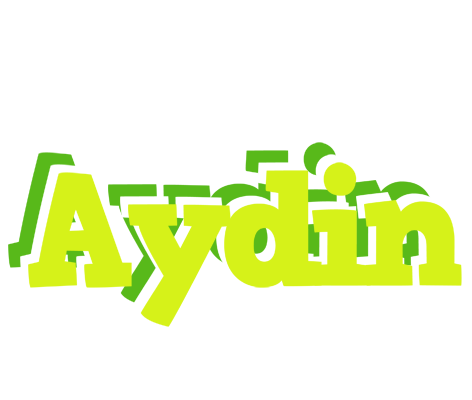 Aydin citrus logo