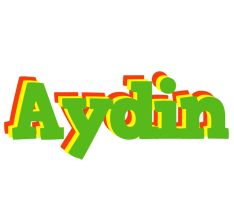 Aydin crocodile logo