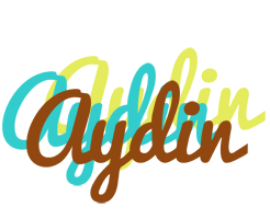 Aydin cupcake logo