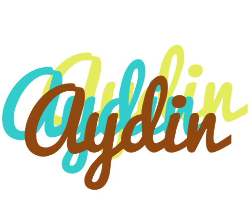 Aydin cupcake logo