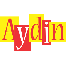 Aydin errors logo