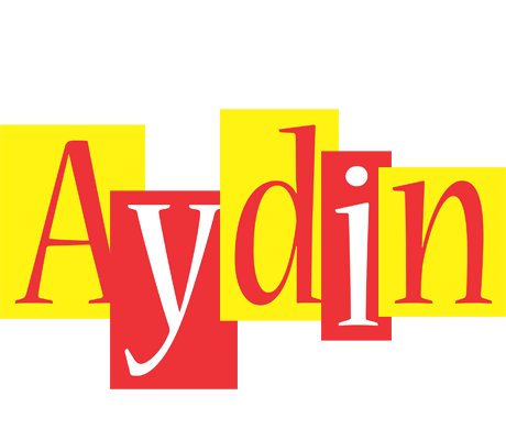 Aydin errors logo