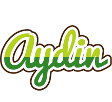 Aydin golfing logo