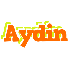 Aydin healthy logo