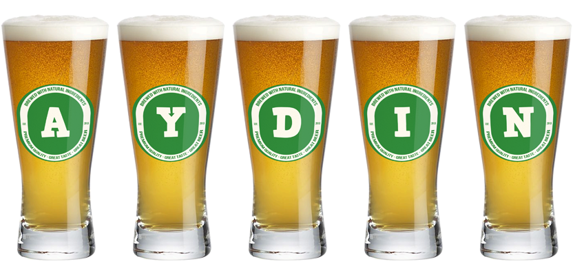 Aydin lager logo
