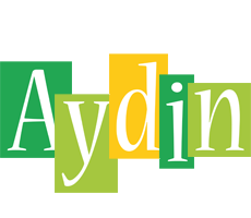 Aydin lemonade logo