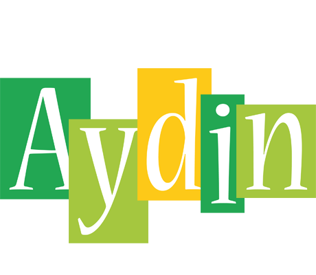 Aydin lemonade logo