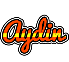 Aydin madrid logo