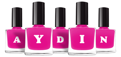 Aydin nails logo