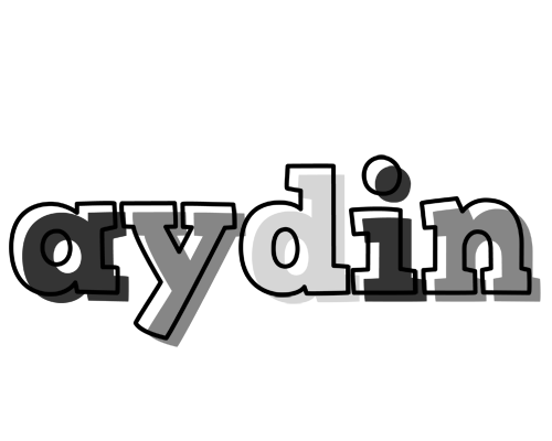 Aydin night logo