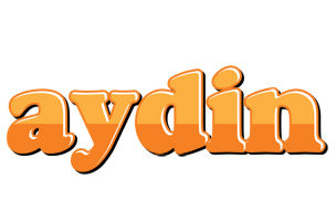 Aydin orange logo