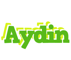 Aydin picnic logo