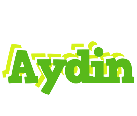 Aydin picnic logo