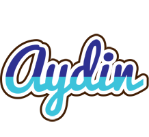 Aydin raining logo