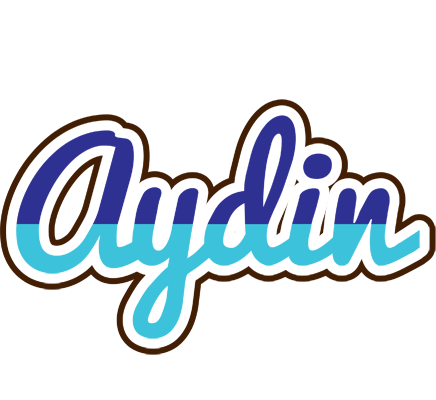Aydin raining logo