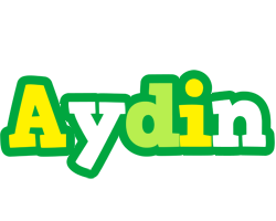 Aydin soccer logo