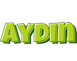 Aydin summer logo