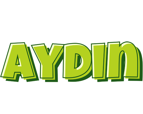 Aydin summer logo