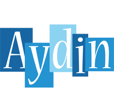 Aydin winter logo