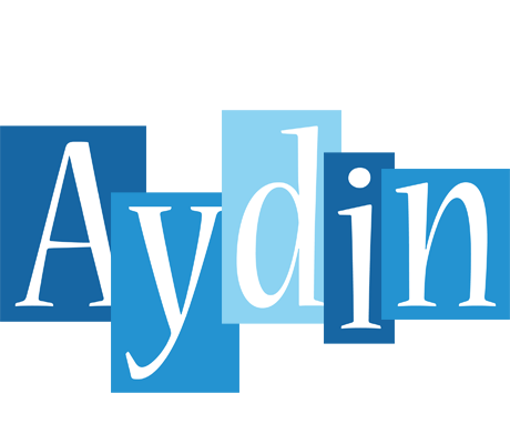 Aydin winter logo