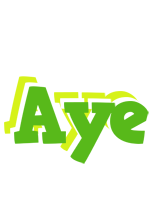 Aye picnic logo