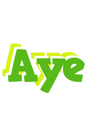 Aye picnic logo
