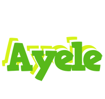 Ayele picnic logo