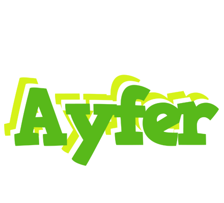 Ayfer picnic logo