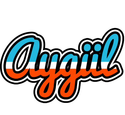 Aygül america logo