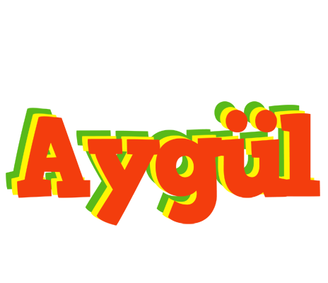 Aygül bbq logo
