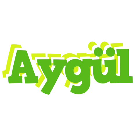 Aygül picnic logo