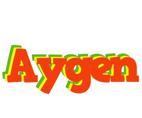 Aygen bbq logo