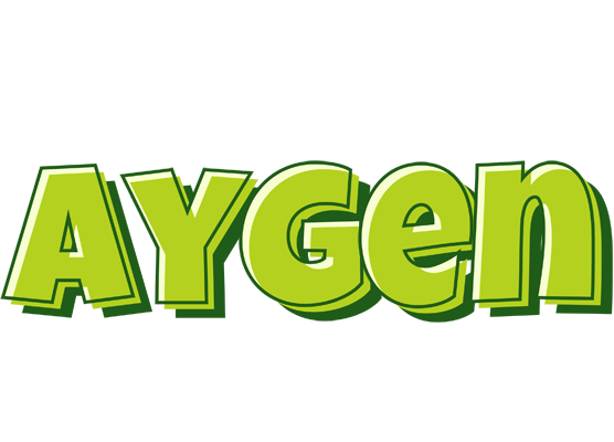 Aygen summer logo