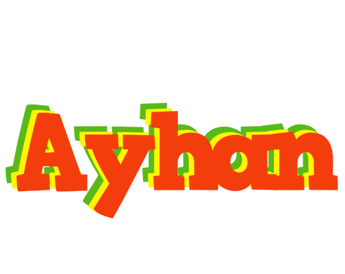 Ayhan bbq logo