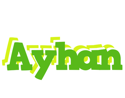Ayhan picnic logo